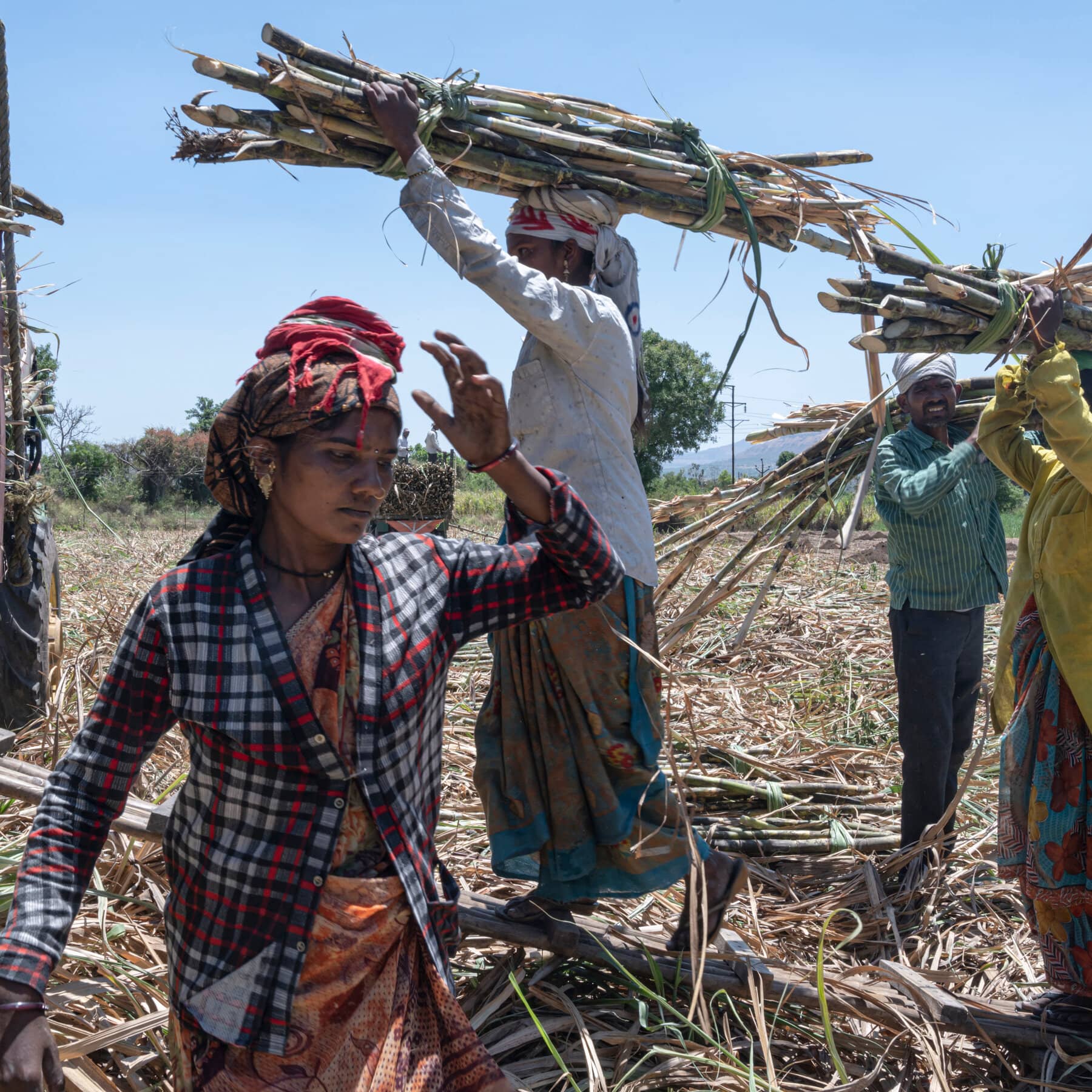 5 Takeaways From an Investigation Into Hysterectomies in India’s Sugar Industry