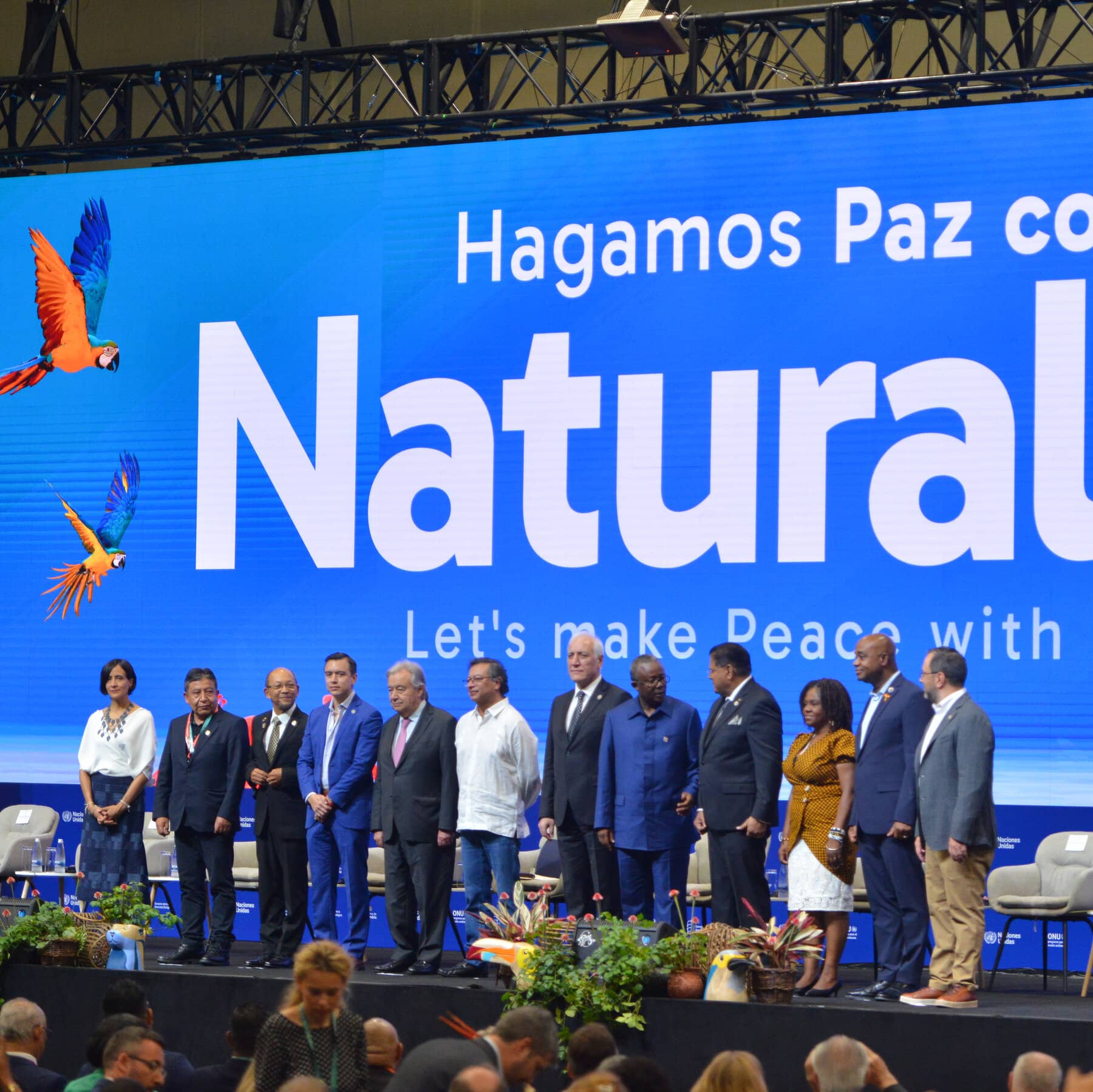 COP16 Talks in Colombia Adopt a Novel Way to Pay for Conservation