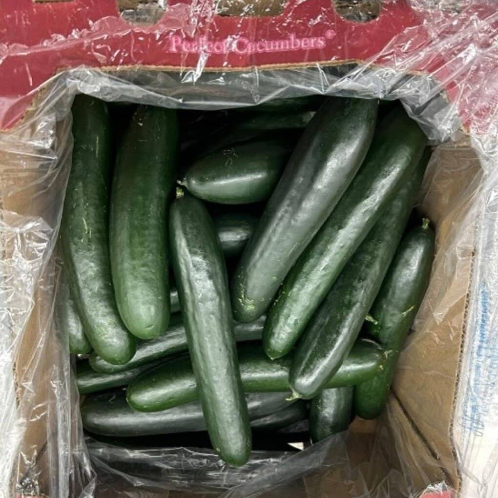 Cucumbers Are Recalled After Salmonella Sickens People in 19 States